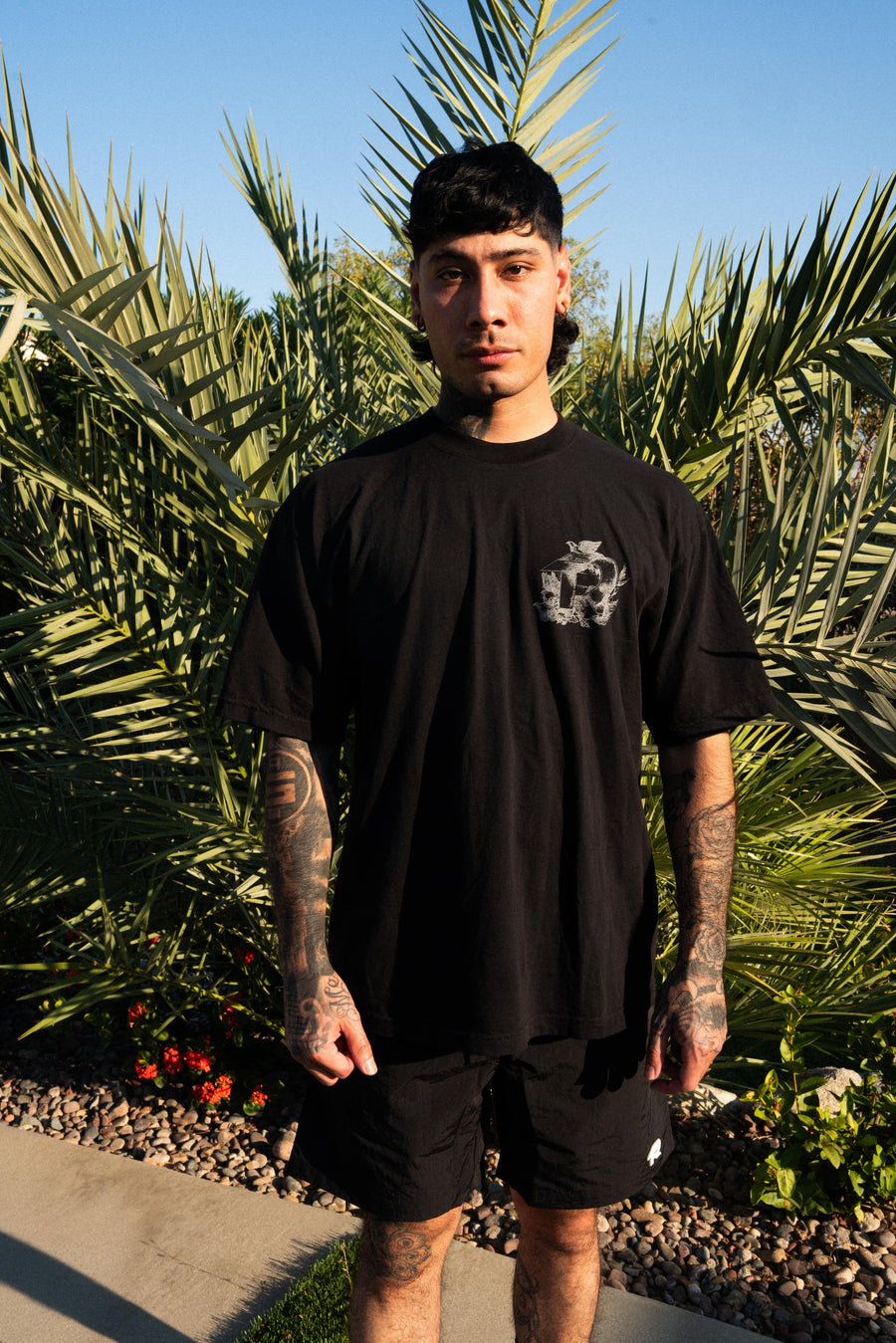 DOVE - BLACK S/S TEE