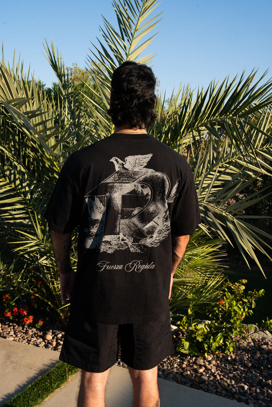 DOVE - BLACK S/S TEE