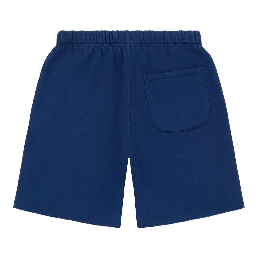 PARIS - NAVY SHORTS