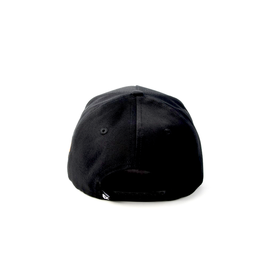 SPIDER FR  HAT - BLACK