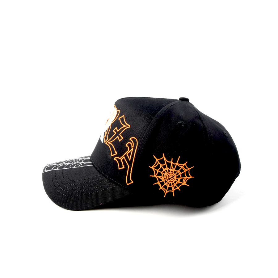 SPIDER FR  HAT - BLACK